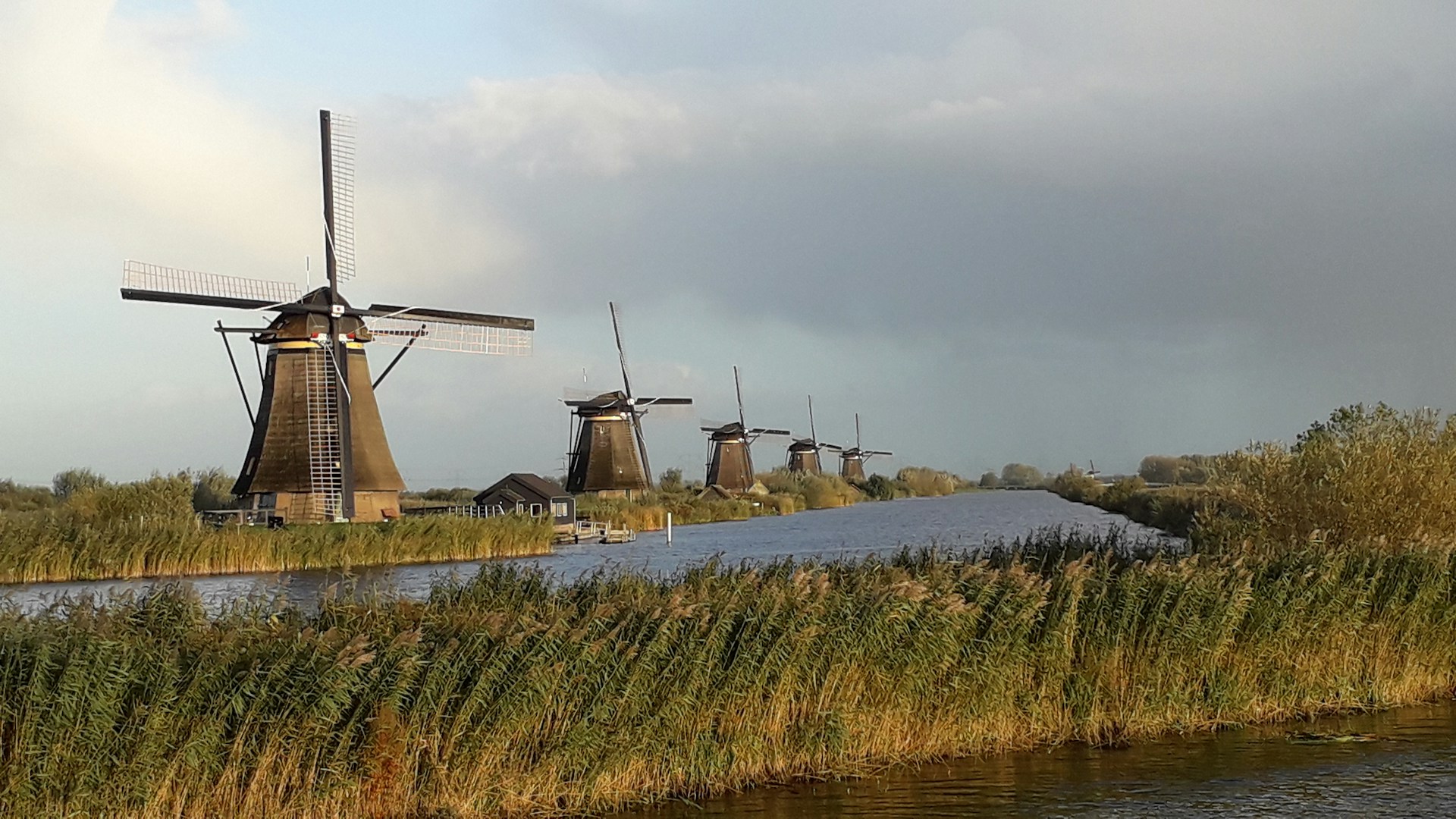 Dijken langs de Waal beschermen de polders van Wamel