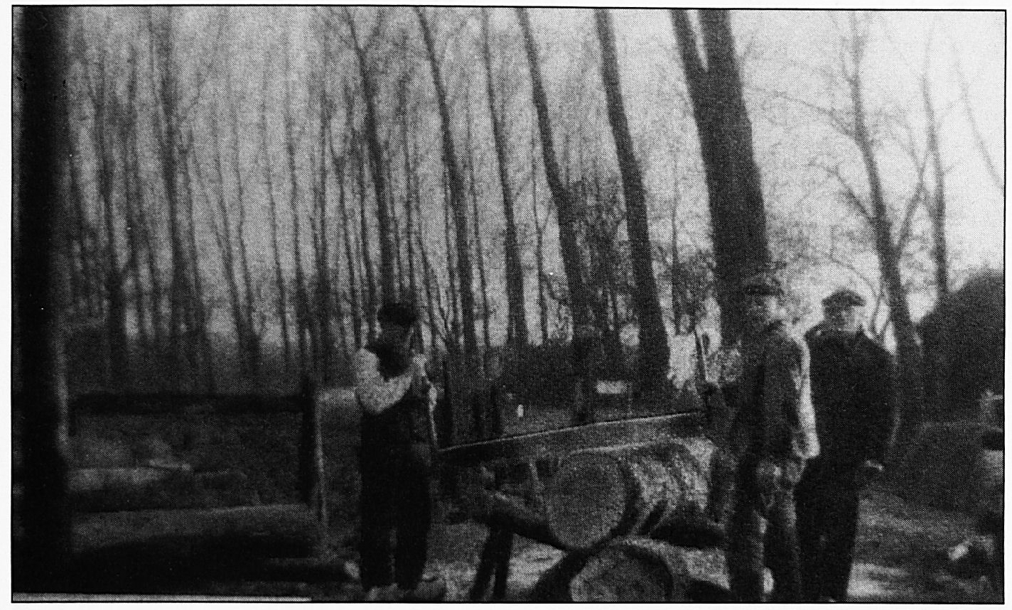 Zo werd het klompenhout met de hand op blokken gezaagd, waarna men er klompen van kon maken. V.l.n.r.: Gradus van Gelder, zijn zoon Geri van Gelder en Van Rossum. Rechts is tussen de bomen door nog het oude koetshuis van de Lakenburg zichtbaar.